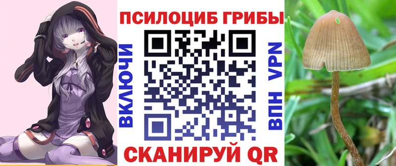 Псилоцибиновые грибы ЛСД  Купить где  Строитель 